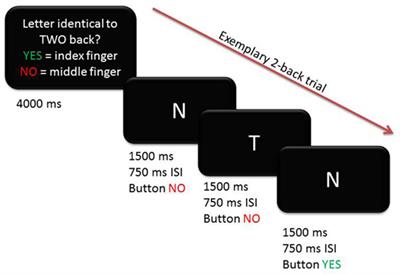 Working Memory-Related Effective Connectivity in Huntington’s Disease Patients